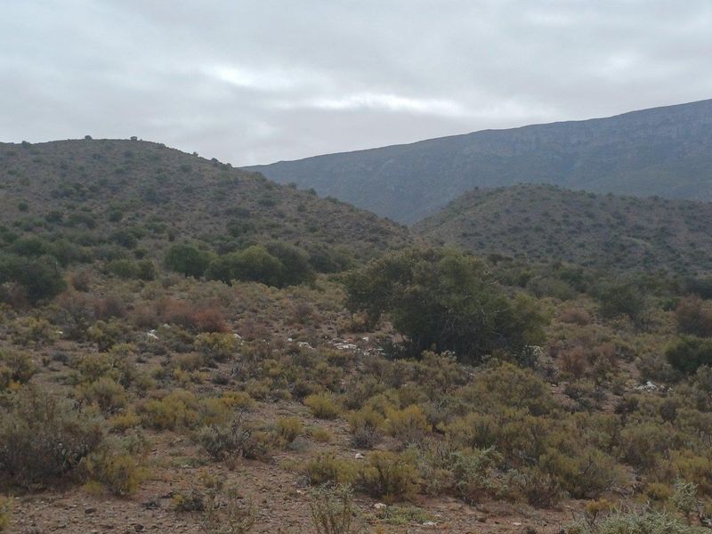 Farm For Sale in Ladismith Rural, Ladismith