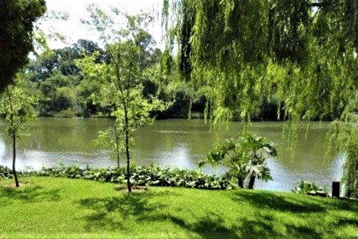 Balcony view 2 bedroom retirement unit - Photo 3