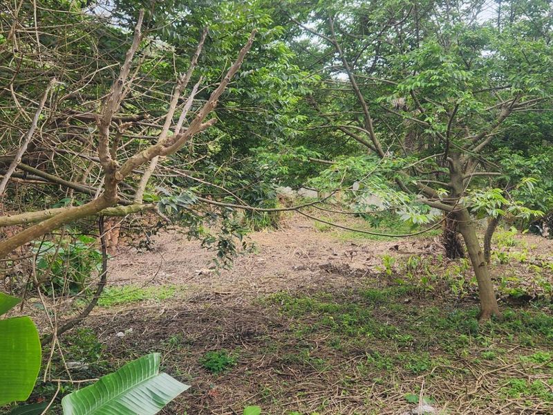 Prime Sheffield Beach Land with 180° Sea Views - A Rare Coastal Gem! - Photo 7