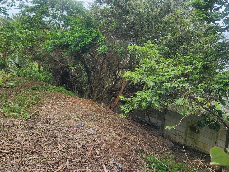 Prime Sheffield Beach Land with 180° Sea Views - A Rare Coastal Gem! - Photo 6