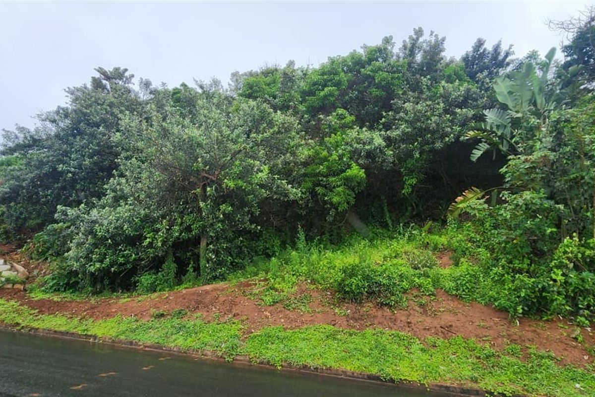 Prime Sheffield Beach Land with 180° Sea Views - A Rare Coastal Gem! - Photo 2