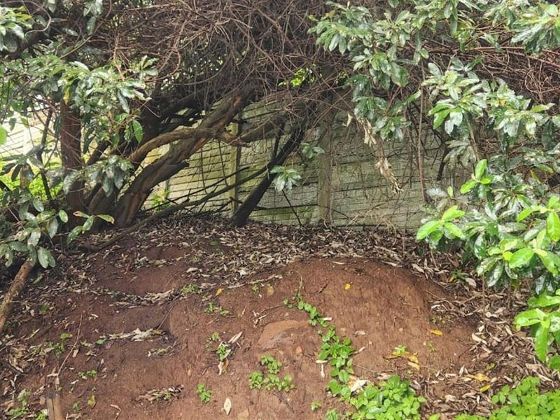 Prime Sheffield Beach Land with 180° Sea Views - A Rare Coastal Gem! - Photo 4