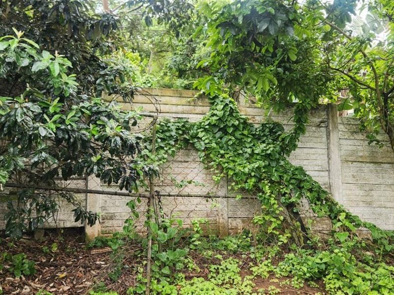 Prime Sheffield Beach Land with 180° Sea Views - A Rare Coastal Gem! - Photo 5