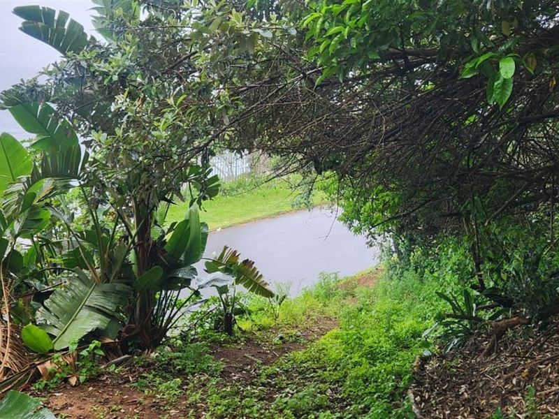 Prime Sheffield Beach Land with 180° Sea Views - A Rare Coastal Gem! - Photo 3