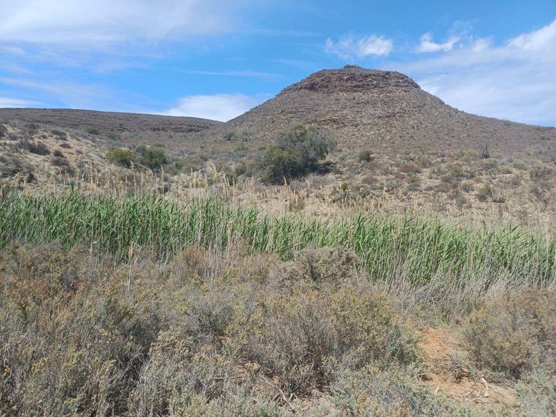 Farm UNDER OFFER in Van Wyksdorp, Ladismith - Photo 7