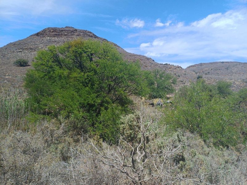 Farm UNDER OFFER in Van Wyksdorp, Ladismith - Photo 6