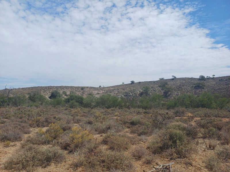 Farm UNDER OFFER in Van Wyksdorp, Ladismith - Photo 2