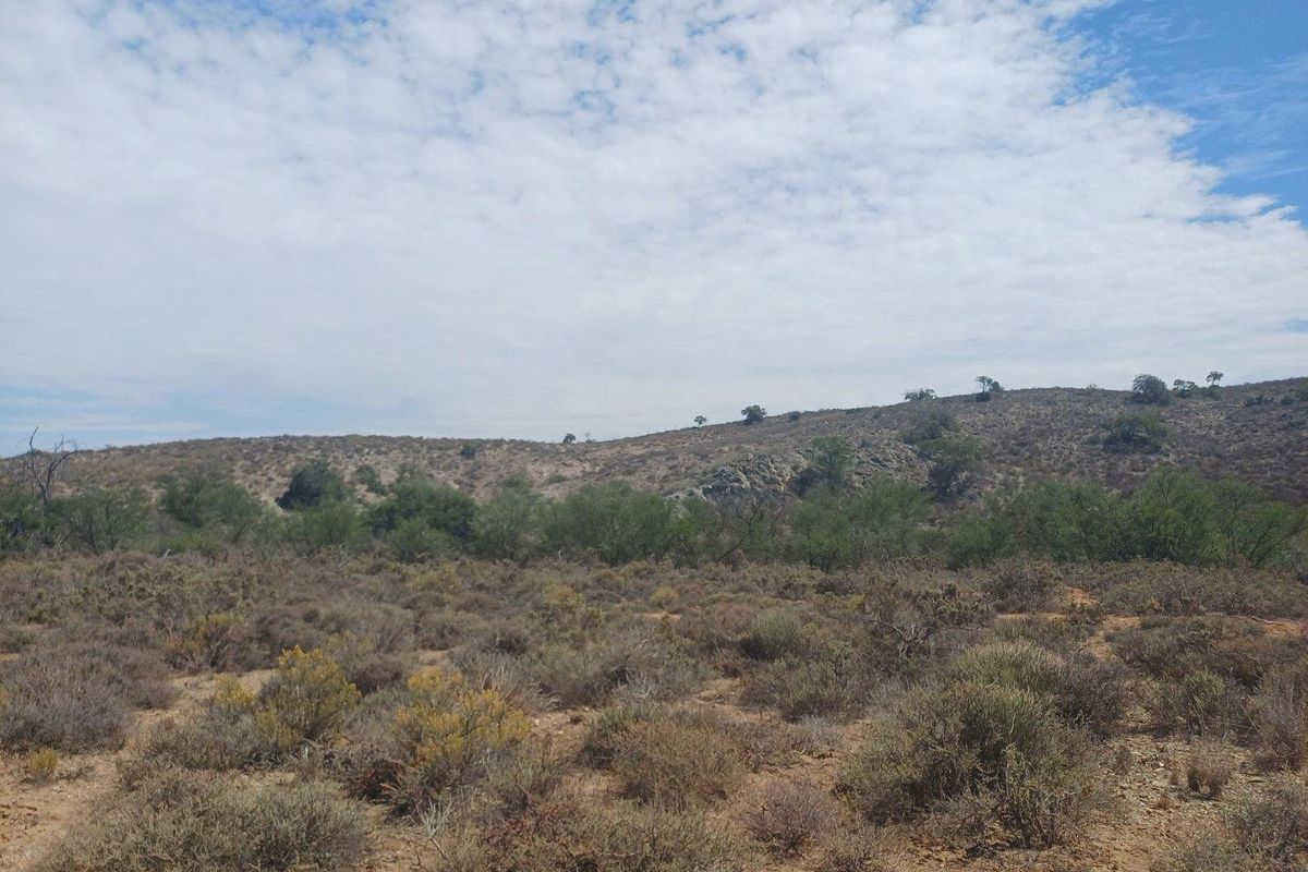 Farm UNDER OFFER in Van Wyksdorp, Ladismith - Photo 2