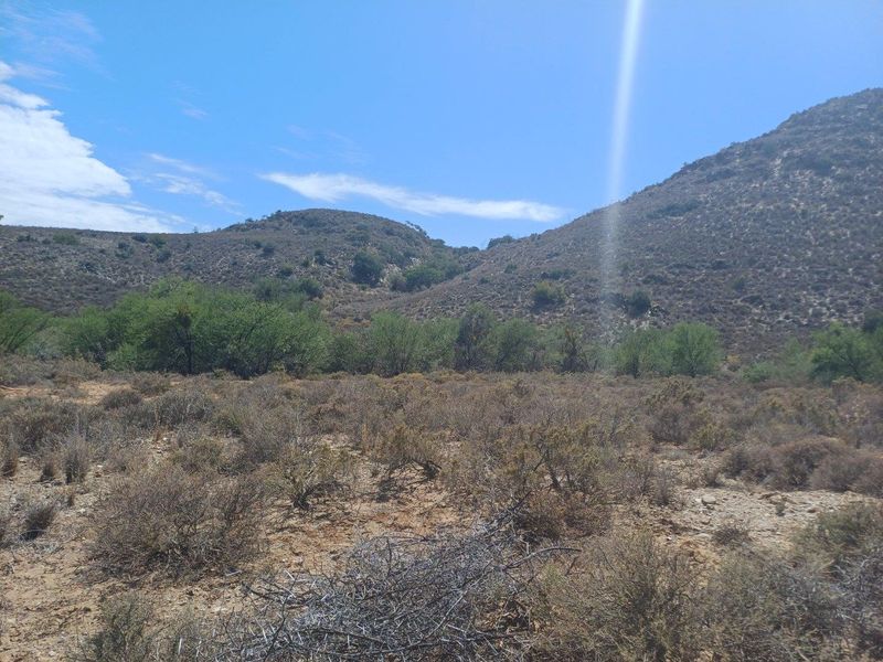 Farm UNDER OFFER in Van Wyksdorp, Ladismith - Photo 3