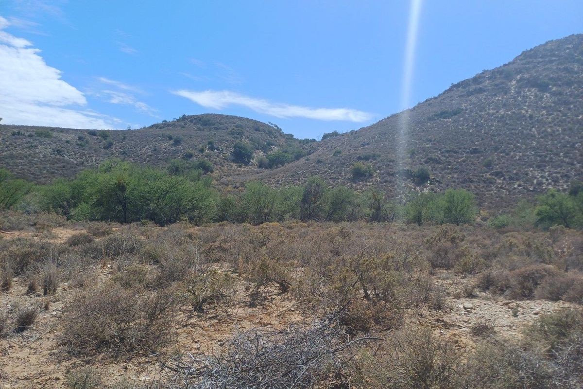 Farm UNDER OFFER in Van Wyksdorp, Ladismith - Photo 3