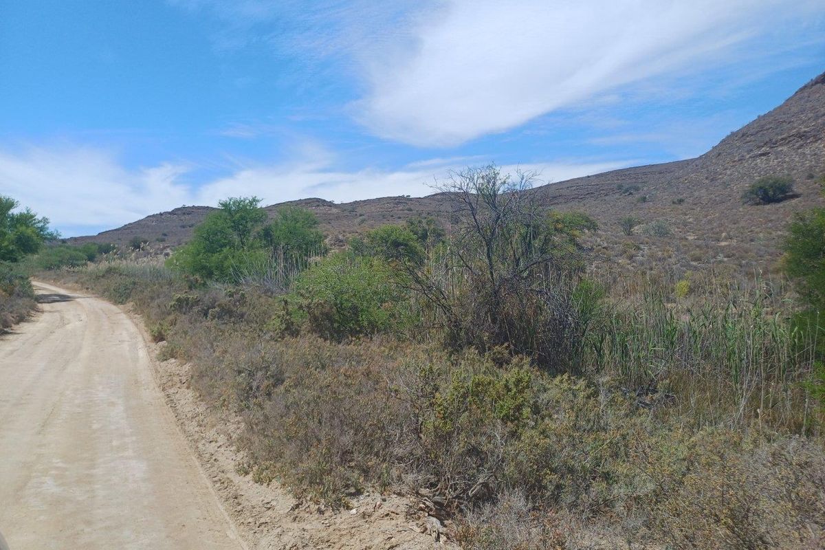 Farm UNDER OFFER in Van Wyksdorp, Ladismith - Photo 5