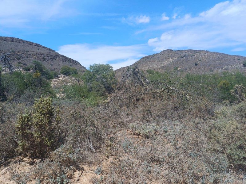 Farm UNDER OFFER in Van Wyksdorp, Ladismith - Photo 4