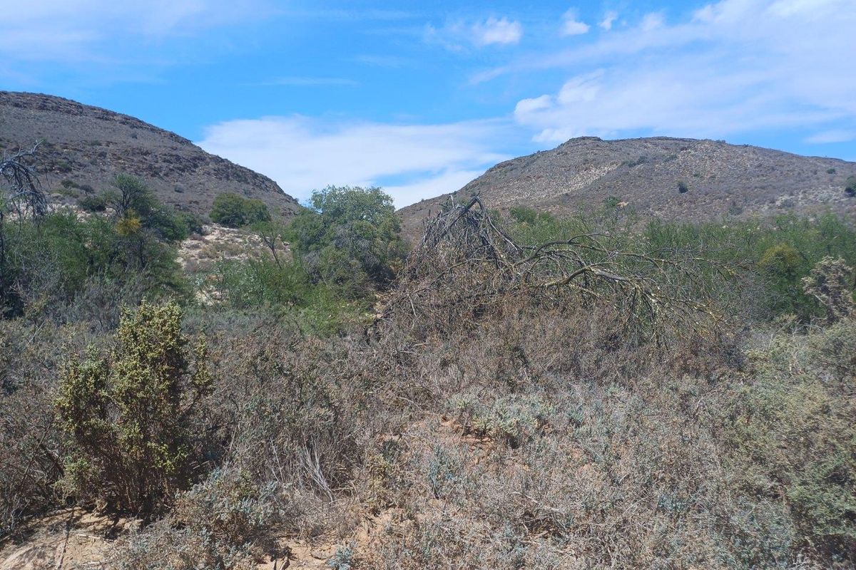 Farm UNDER OFFER in Van Wyksdorp, Ladismith - Photo 4