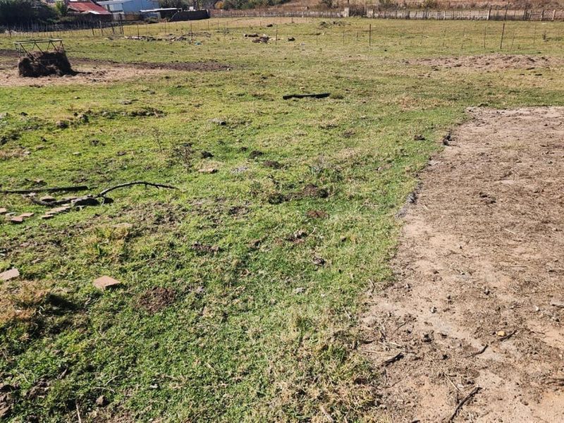 Small Holding For Sale in Witpoortjie AH, Brakpan - Photo 2