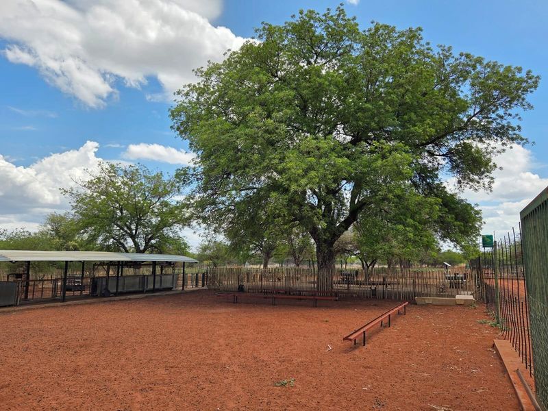 Goat and sheep breeding and stud farm - Photo 4