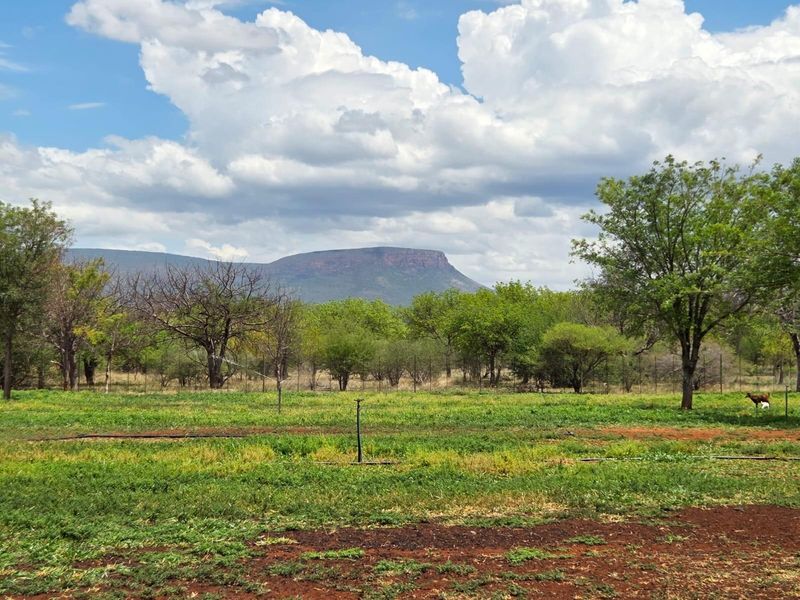 Goat and sheep breeding and stud farm - Photo 5