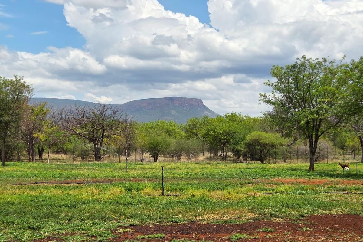 Goat and sheep breeding and stud farm - Photo 5