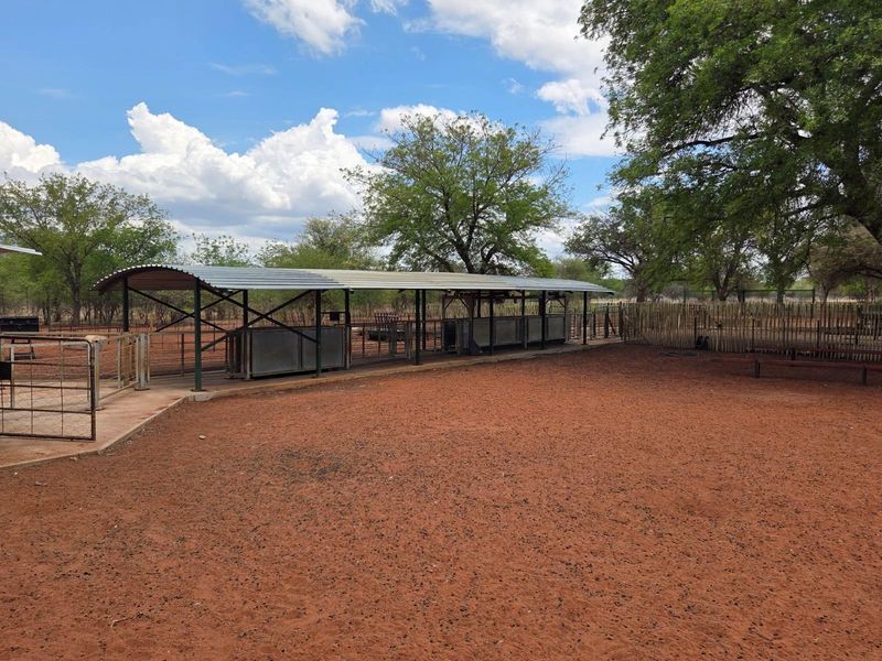 Goat and sheep breeding and stud farm - Photo 2