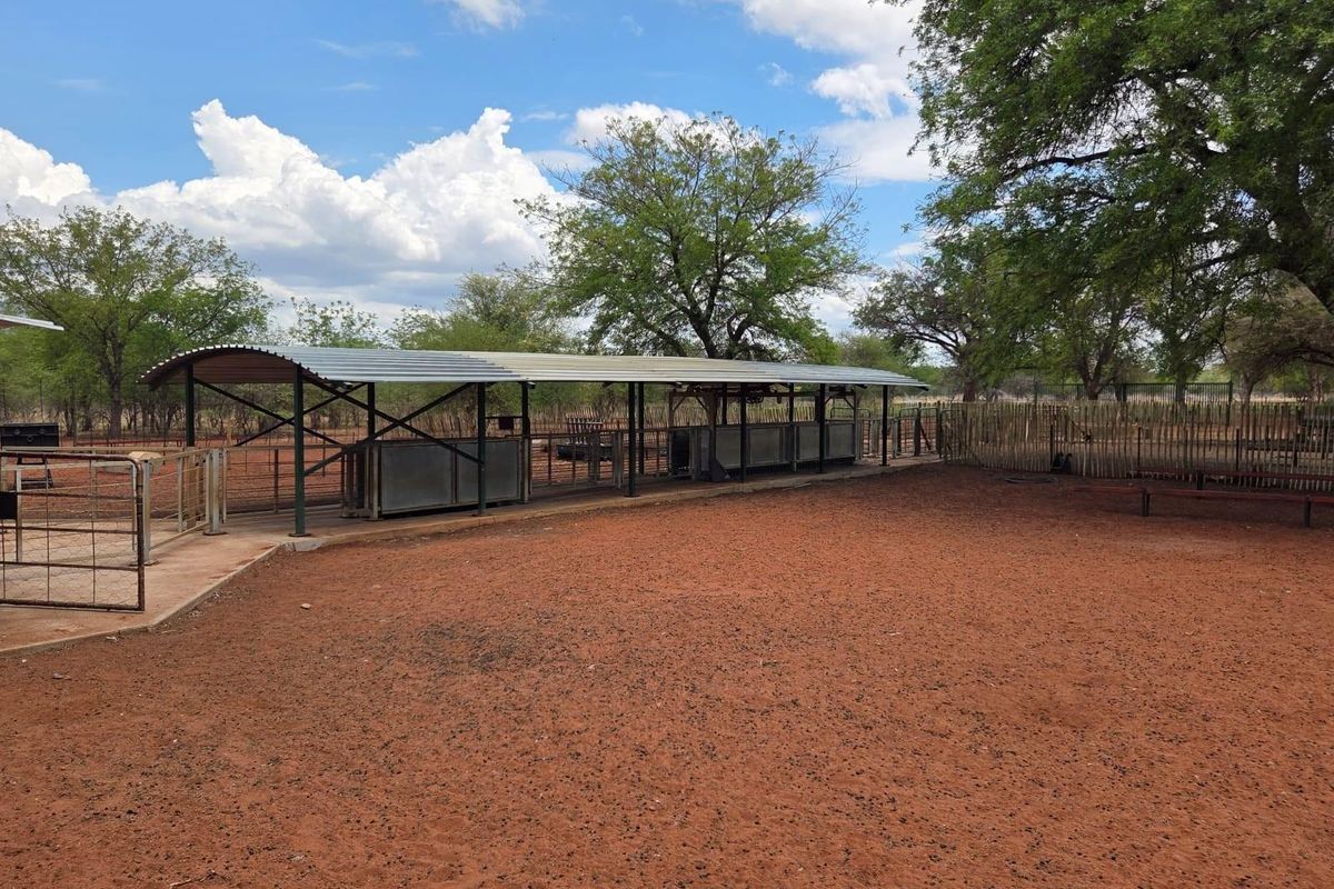 Goat and sheep breeding and stud farm - Photo 2