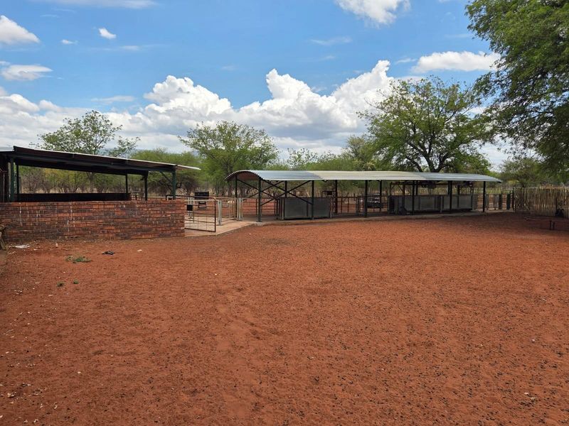 Goat and sheep breeding and stud farm - Photo 3