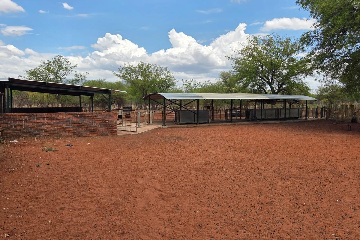 Goat and sheep breeding and stud farm - Photo 3