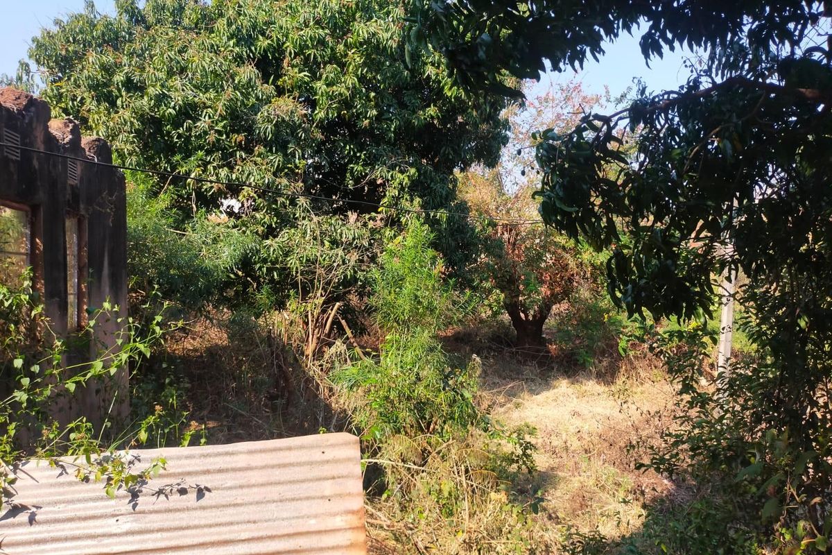 House For Sale in Thohoyandou Rural, Maungani - Photo 4