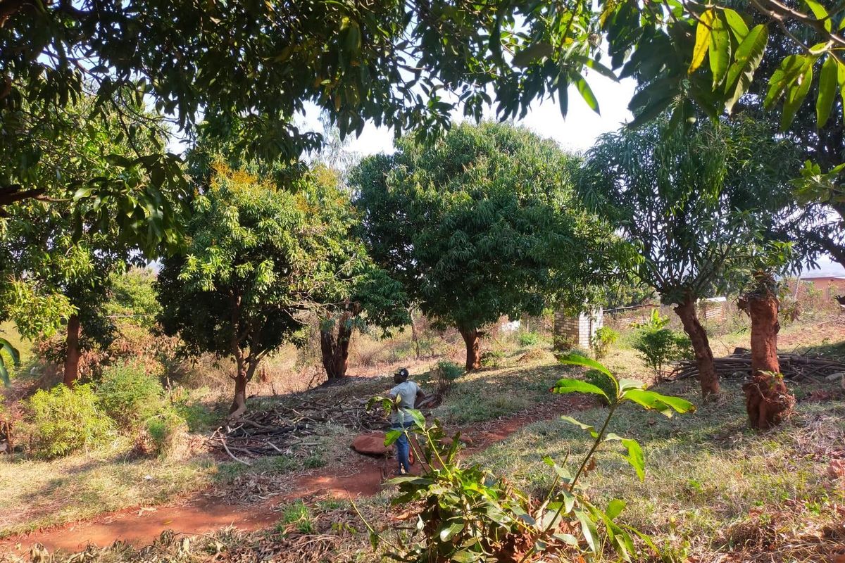 House For Sale in Thohoyandou Rural, Maungani - Photo 2