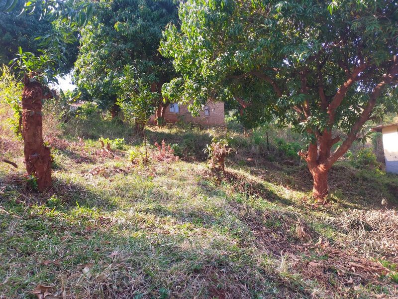 House For Sale in Thohoyandou Rural, Maungani - Photo 7