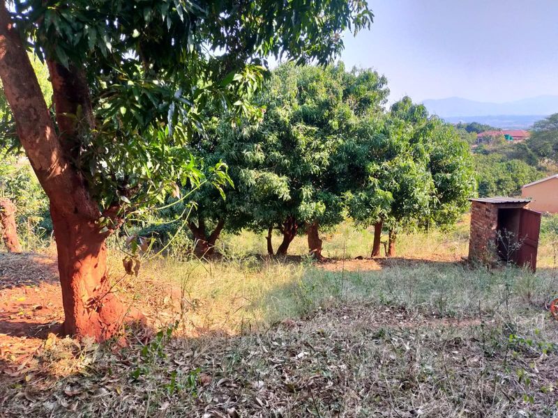 House For Sale in Thohoyandou Rural, Maungani - Photo 4