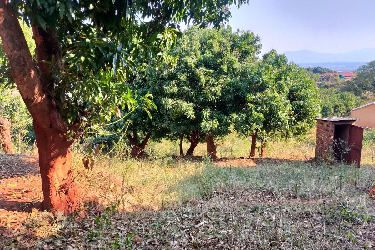 House For Sale in Thohoyandou Rural, Maungani - Photo 4