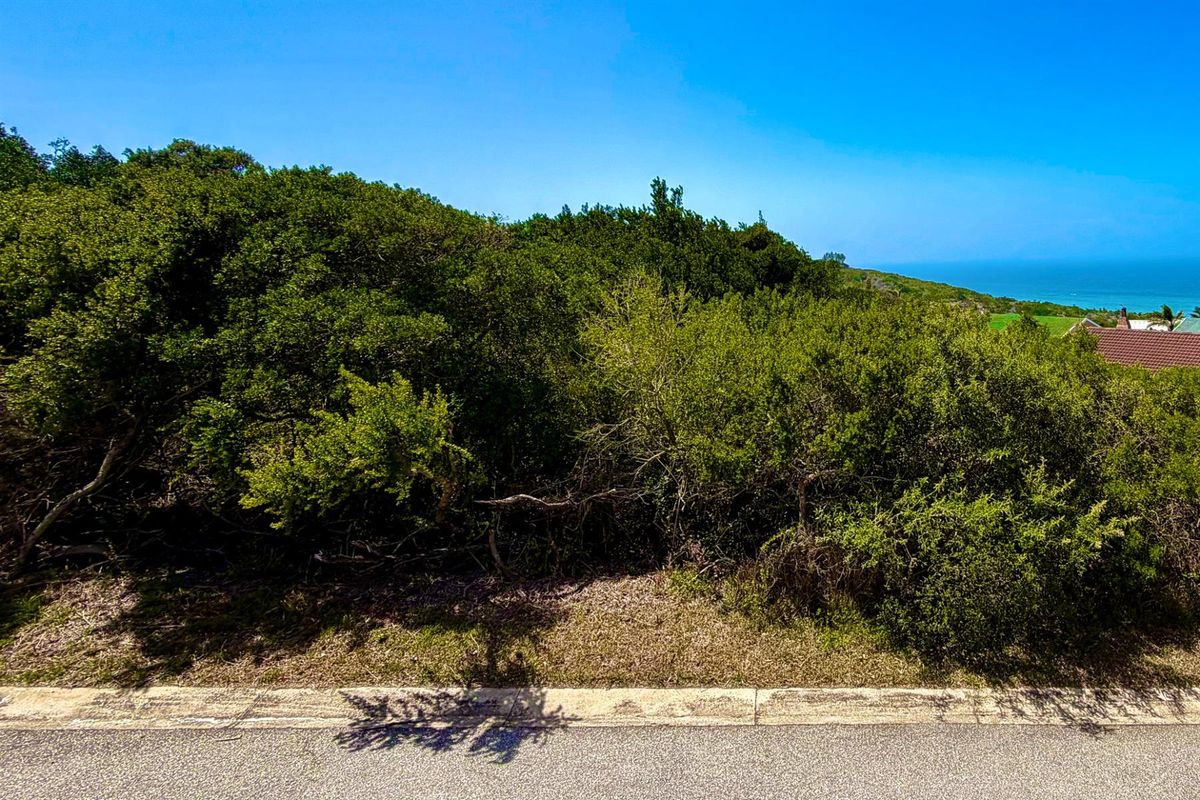 Fall in Love with Coastal Living in Blue Horizon Bay | Listed by Danté Koen, eXp Realty - Photo 5