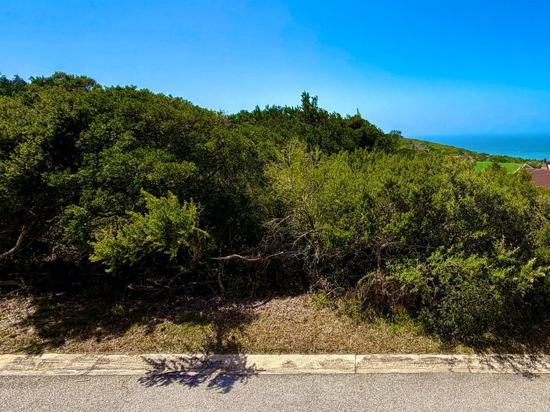 A view of a vacant residential plot featuring dense natural vegetation and coastal landscape views in the background.