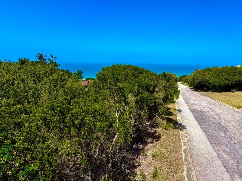 A view of the residential street frontage featuring mature coastal vegetation and a clear horizon line overlooking the ocean.