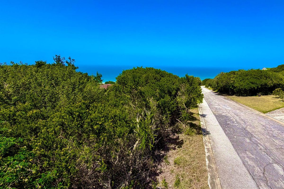 A view of the residential street frontage featuring mature coastal vegetation and a clear horizon line overlooking the ocean.