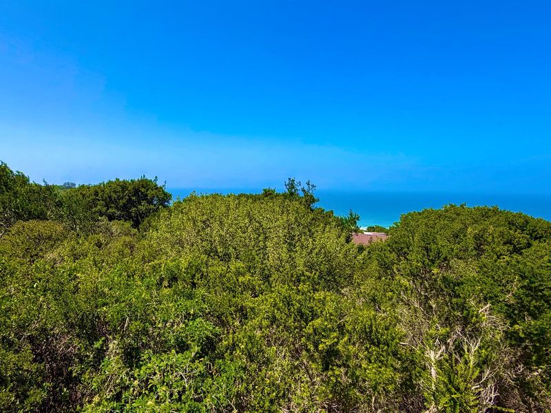 A scenic view overlooking dense coastal vegetation with a glimpse of the ocean in the distance.