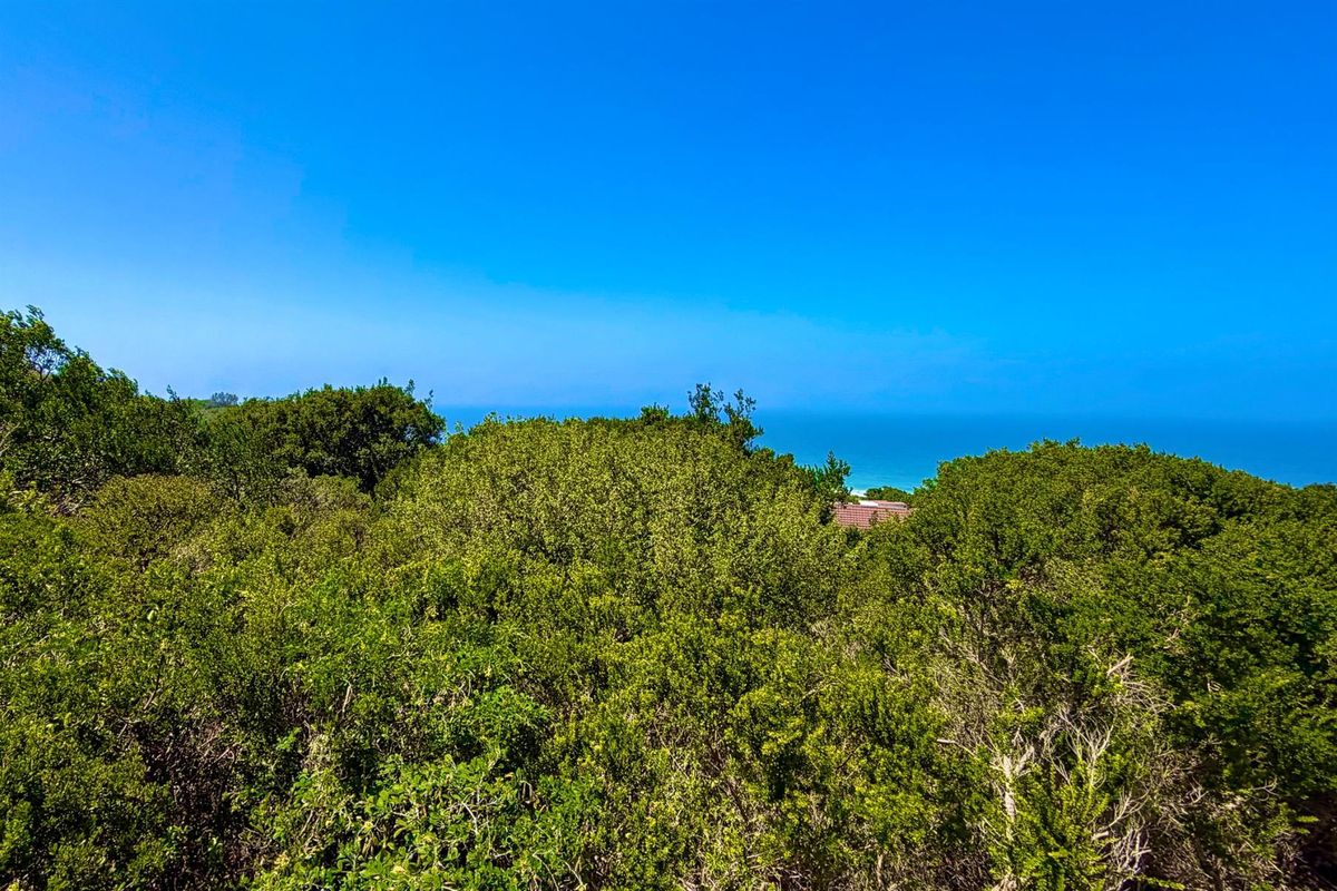 A scenic view overlooking dense coastal vegetation with a glimpse of the ocean in the distance.