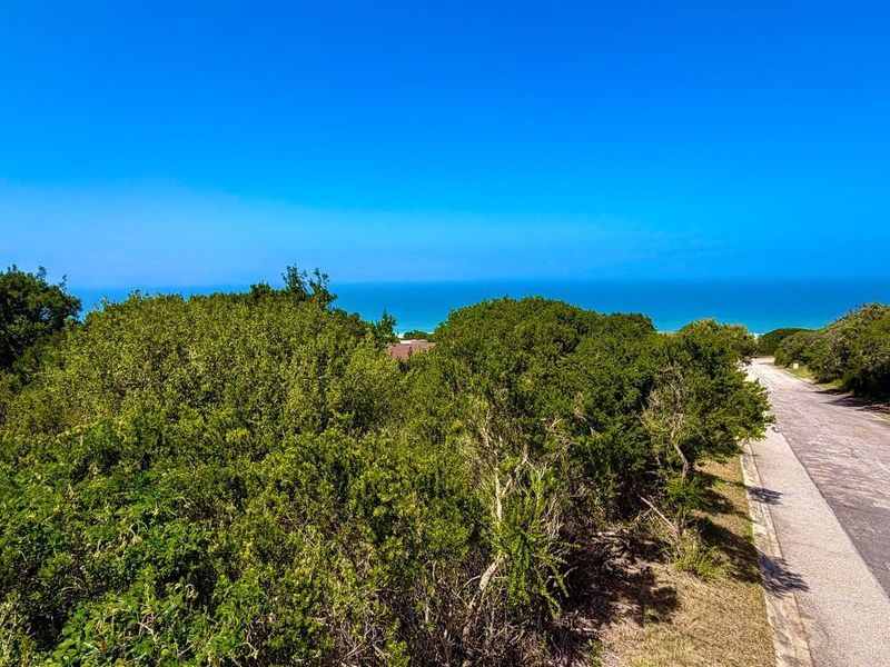 An elevated view of the vacant residential land featuring established coastal vegetation and direct access to the adjacent paved road.