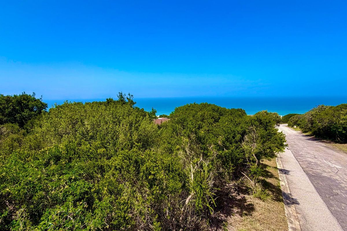 An elevated view of the vacant residential land featuring established coastal vegetation and direct access to the adjacent paved road.