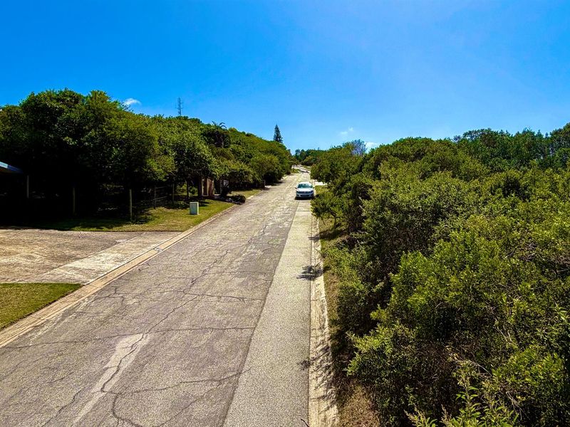 A view of a residential street approach featuring mature surrounding vegetation and an asphalt road surface showing signs of wear.
