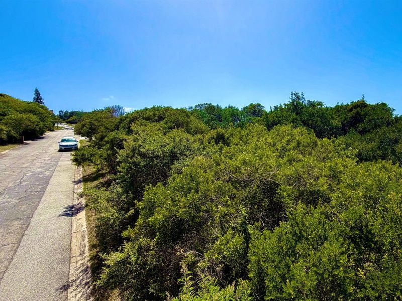 A view of the vacant residential land plot from the adjacent street, featuring dense natural vegetation and established shrubbery.