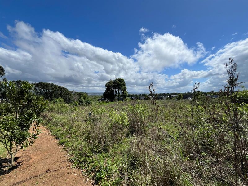 The Orchards Elaleni Lifestyle Estate - Photo 6