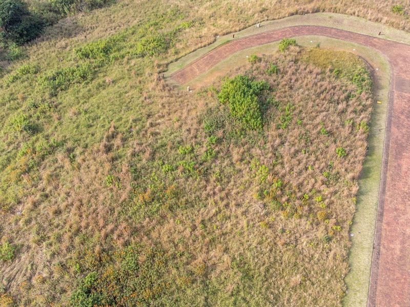 Elevated Stand in Cul de Sac For Sale in Ekubo Coastal Estate, Port Edward, KwaZulu Natal - Photo 6