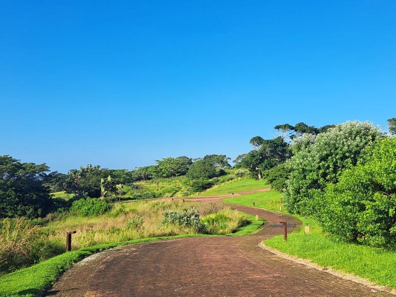 Pristine Vacant Land For Sale in Eco and Wildlife Coastal Estate, Port Edward, KwaZulu Natal - Photo 3