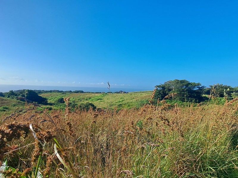 Pristine Vacant Land For Sale in Eco and Wildlife Coastal Estate, Port Edward, KwaZulu Natal - Photo 5