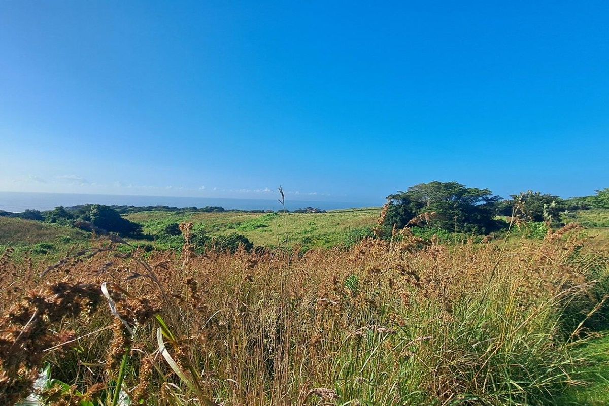 Pristine Vacant Land For Sale in Eco and Wildlife Coastal Estate, Port Edward, KwaZulu Natal - Photo 5