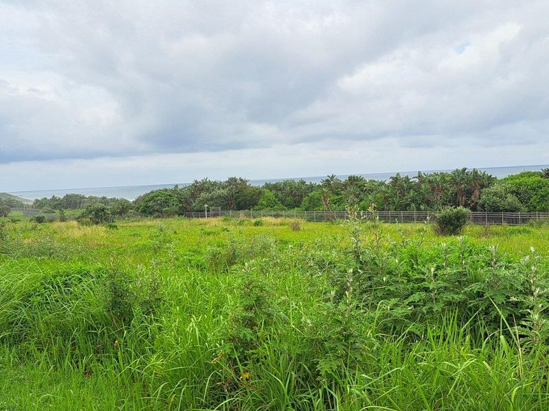 Prime First Row Land For Sale in Eco and Wildlife Coastal Estate, Port Edward, KwaZulu Natal - Photo 4
