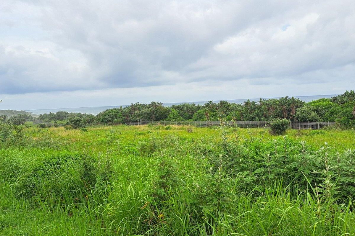 Prime First Row Land For Sale in Eco and Wildlife Coastal Estate, Port Edward, KwaZulu Natal - Photo 4