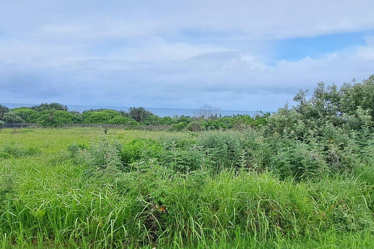 Prime First Row Land For Sale in Eco and Wildlife Coastal Estate, Port Edward, KwaZulu Natal - Photo 2