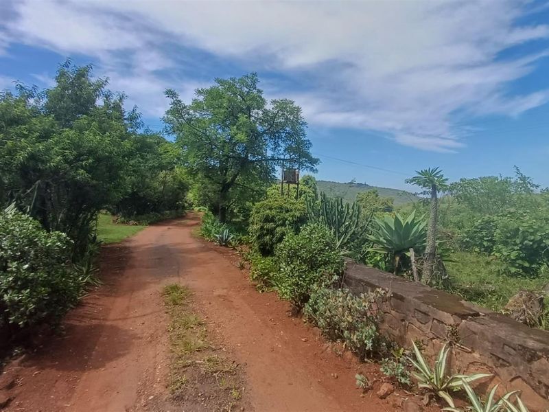Small holding on Soutpansberg with Macadamia, Guava and Avocado trees. - Photo 8