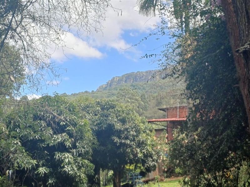 Small holding on Soutpansberg with Macadamia, Guava and Avocado trees. - Photo 6